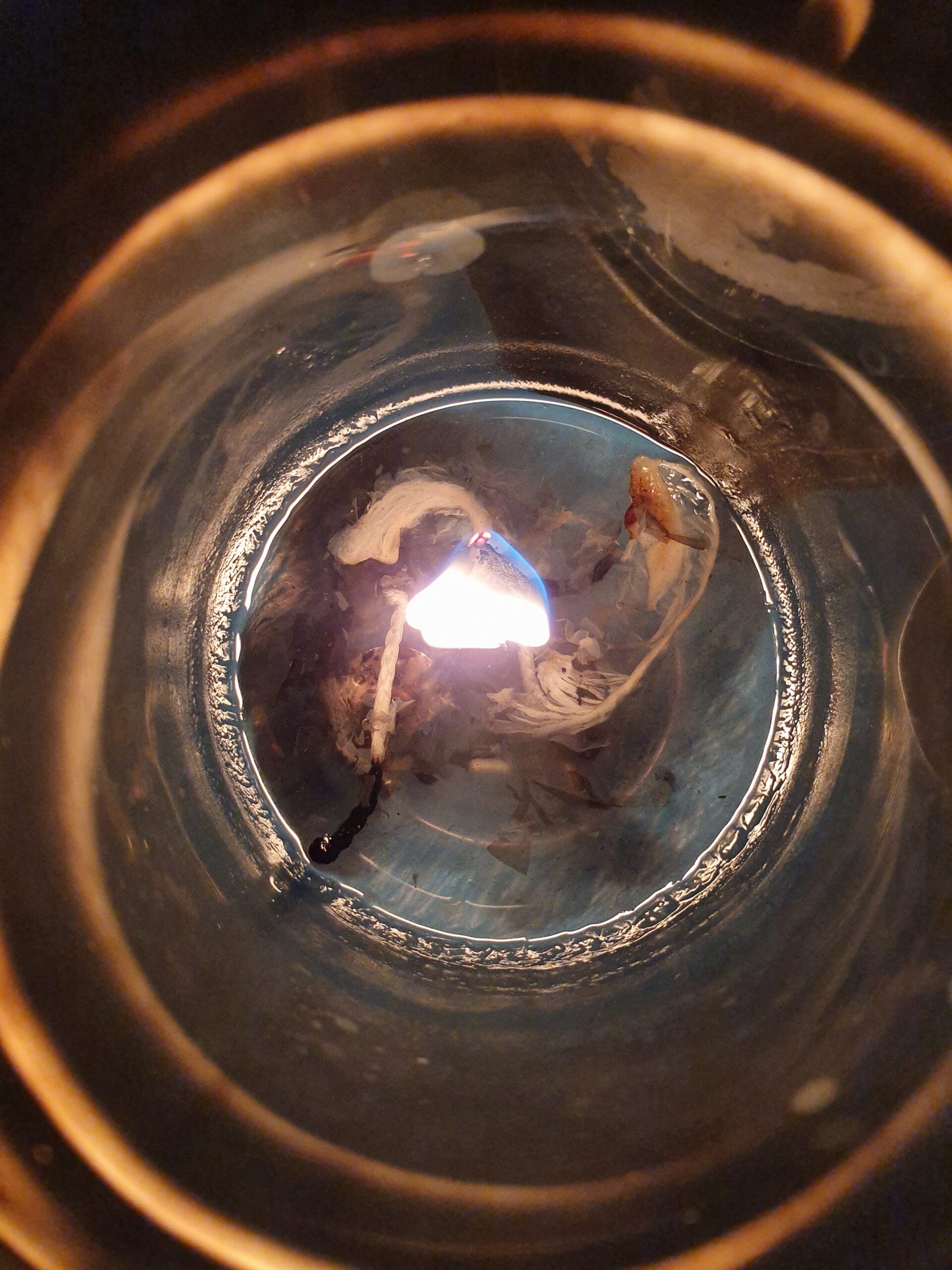 New Moon in Sagittarius