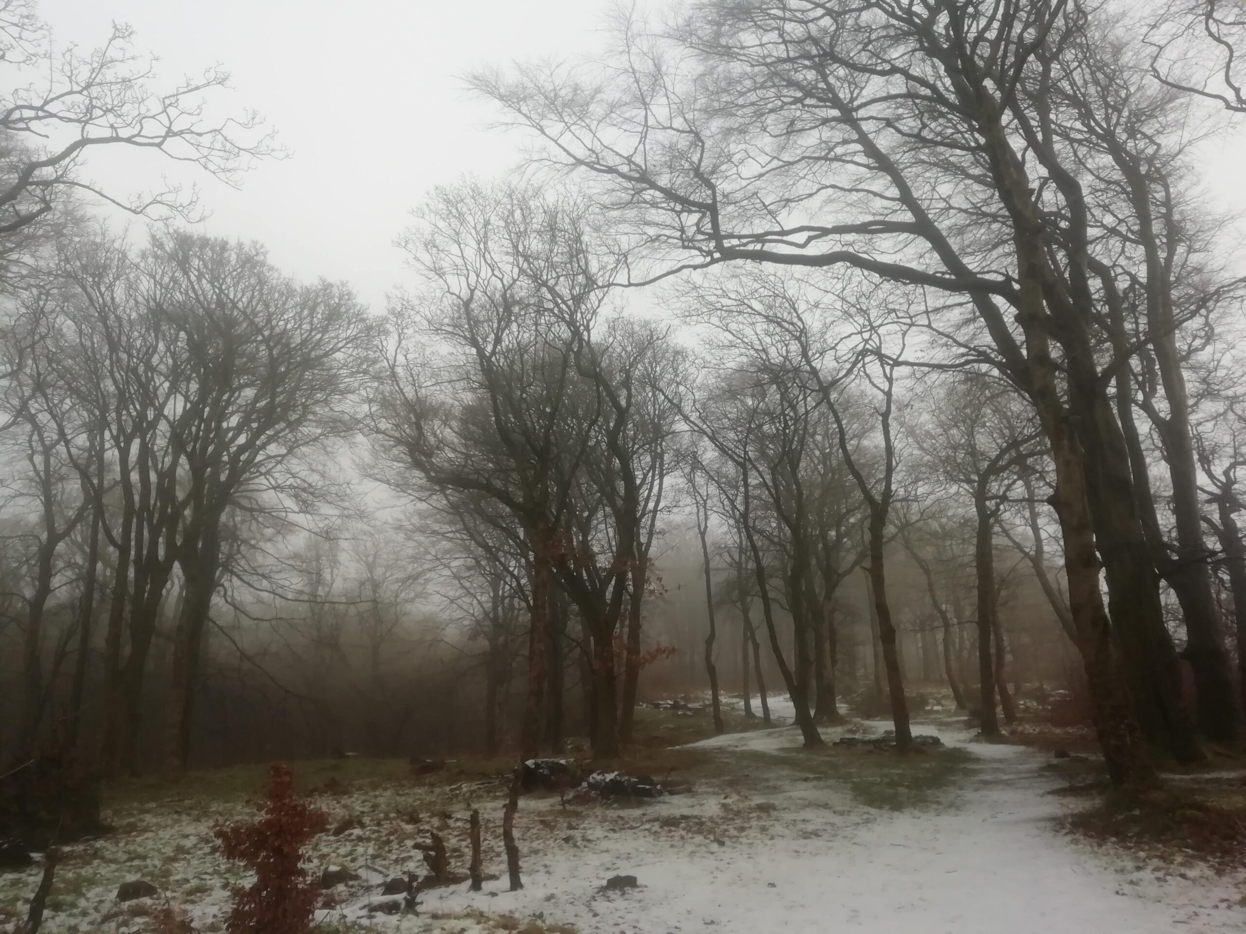 New Moon in Capricorn